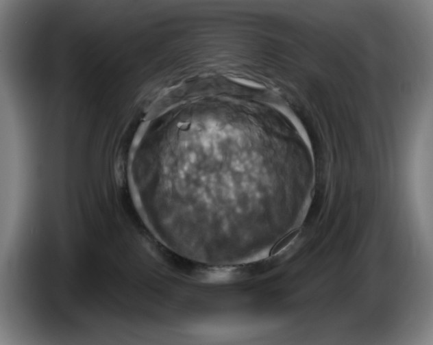 X0000086220090200704191747