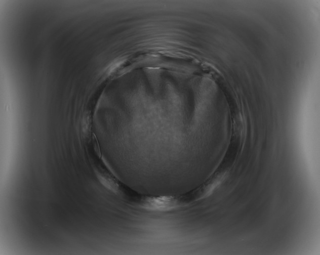 X0000086220092200704191747