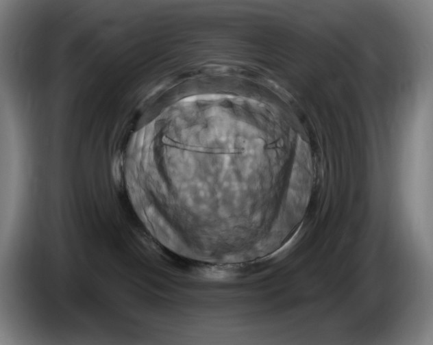 X0000086220094200704191747