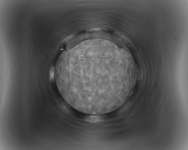 X0000086220095200704191747