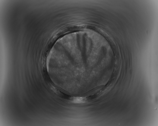 X0000086220096200704191747