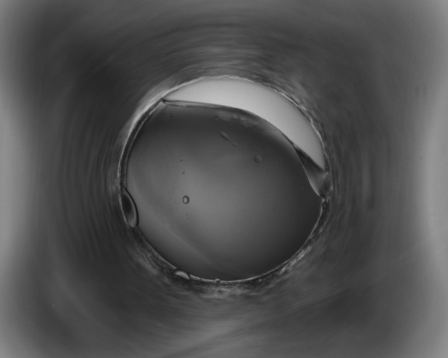 X0000086220099200704191747