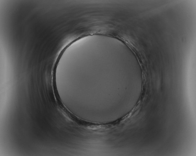 X0000086220100200704191747