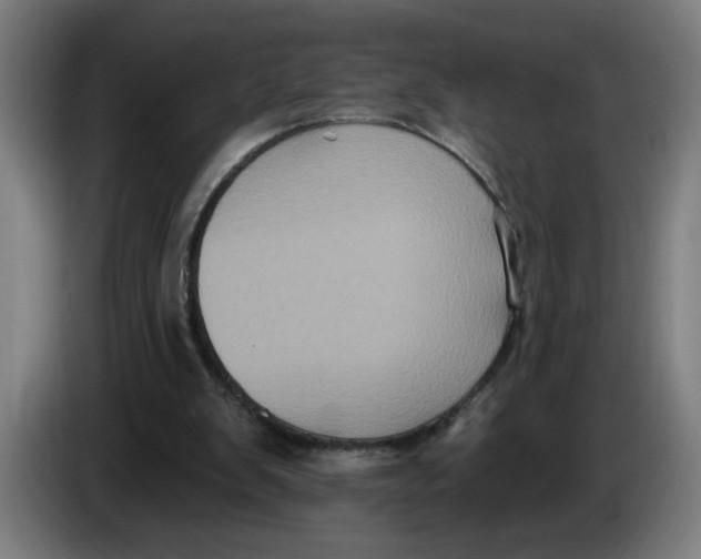 X0000086220103200704191747