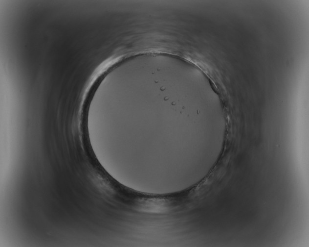 X0000086220104200704191747