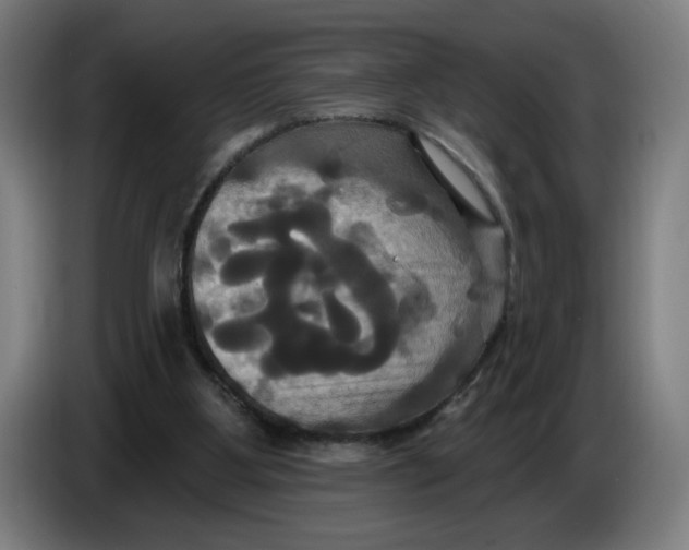 X0000086220107200704191747