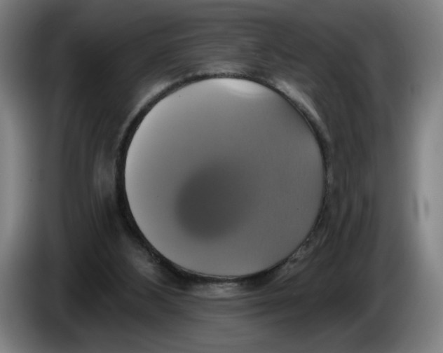 X0000086220108200704191747