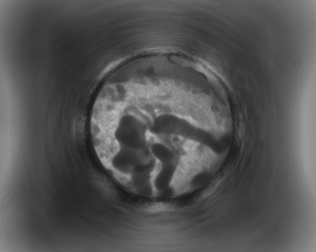 X0000086220111200704191747