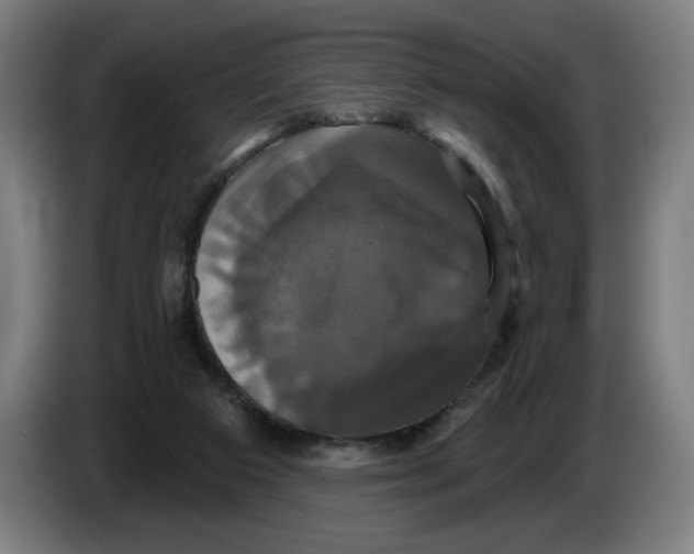 X0000086220113200704191747