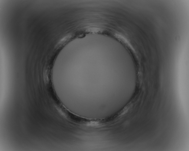 X0000086220114200704191746