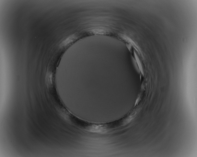 X0000086220117200704191746