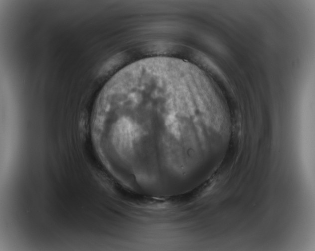 X0000086220119200704191746