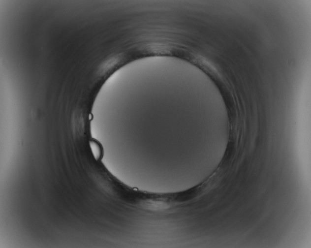 X0000086220120200704191746