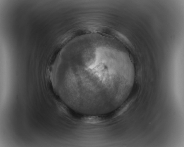 X0000086220121200704191746