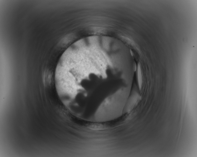 X0000086220123200704191746