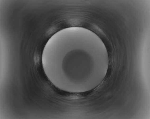 X0000086220124200704191746