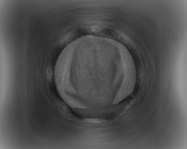 X0000086220129200704191746