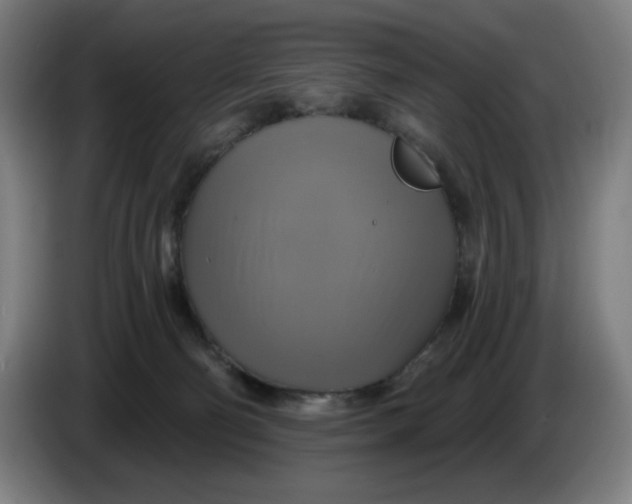 X0000086220130200704191746