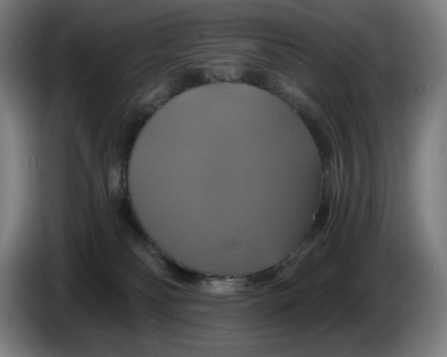 X0000086220134200704191746