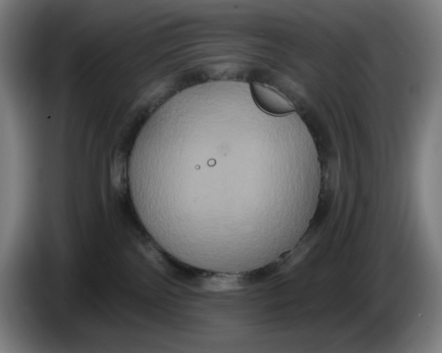 X0000086220138200704191746