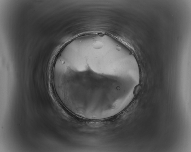 X0000086220145200704191745