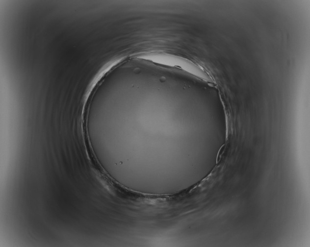 X0000086220147200704191745