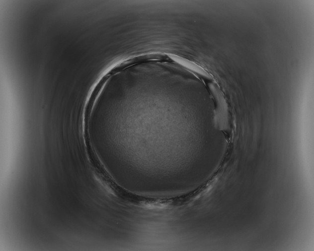 X0000086220148200704191745