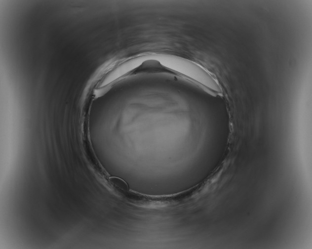 X0000086220149200704191745