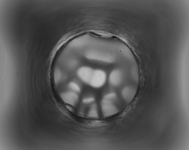 X0000086220151200704191746