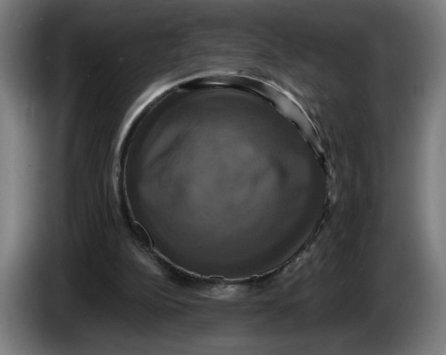 X0000086220152200704191746