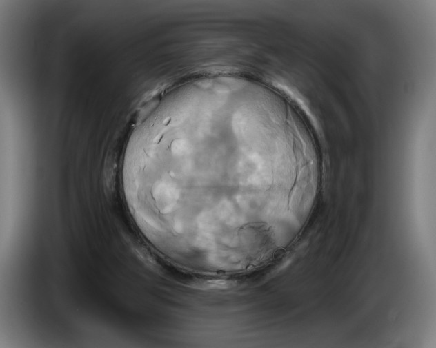 X0000086220153200704191746