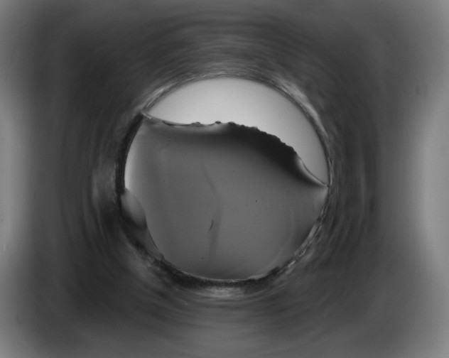 X0000086220154200704191746