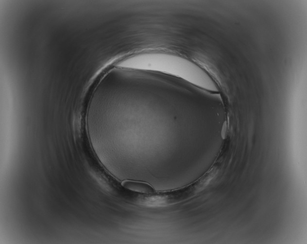 X0000086220156200704191746