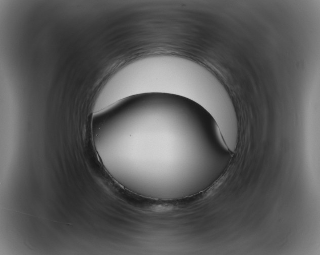 X0000086220158200704191746