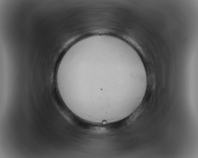 X0000086220159200704191746