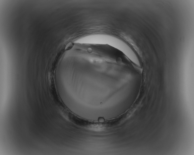 X0000086220161200704191746