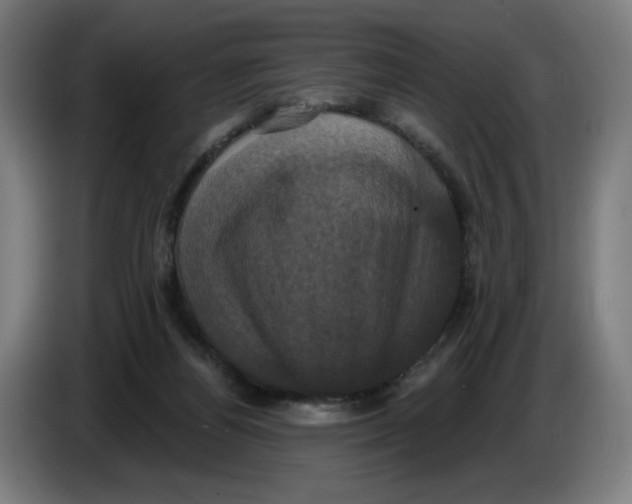 X0000086220164200704191746