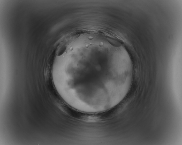 X0000086220165200704191746