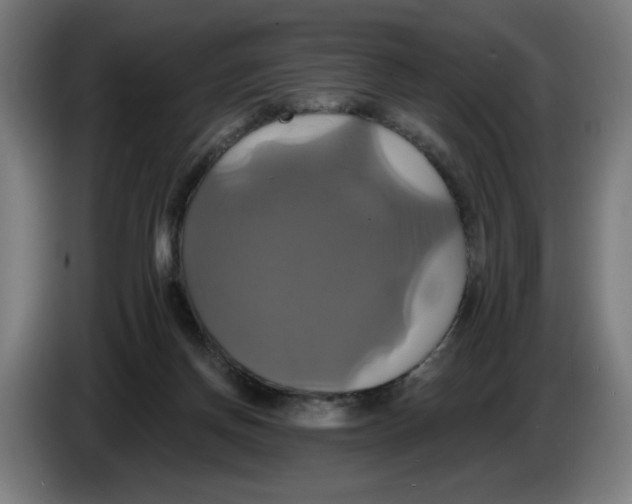 X0000086220166200704191746