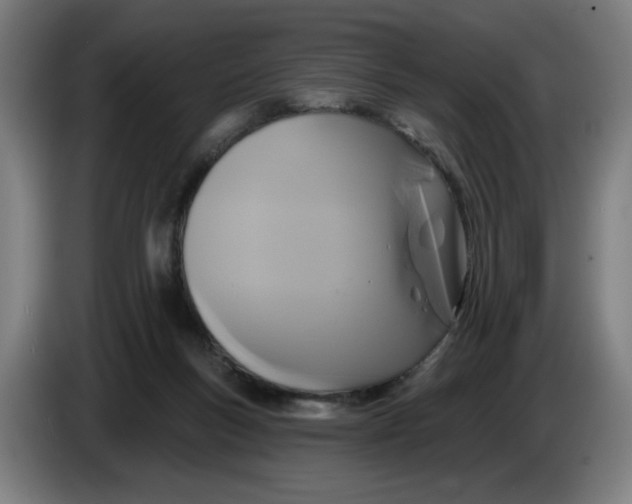 X0000086220167200704191746