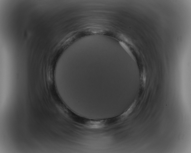 X0000086220170200704191746