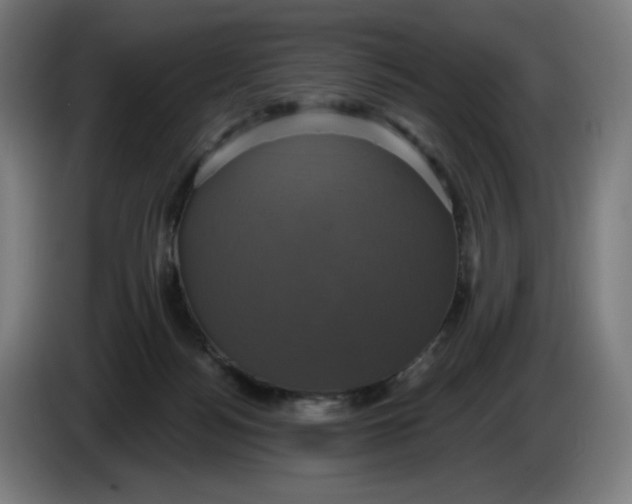 X0000086220172200704191746