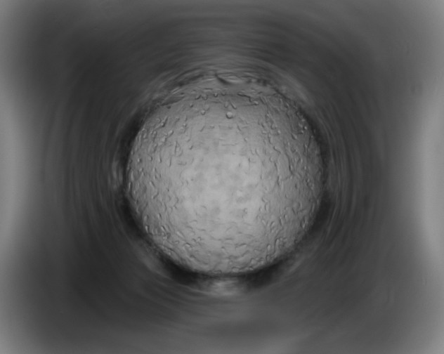 X0000086220173200704191746