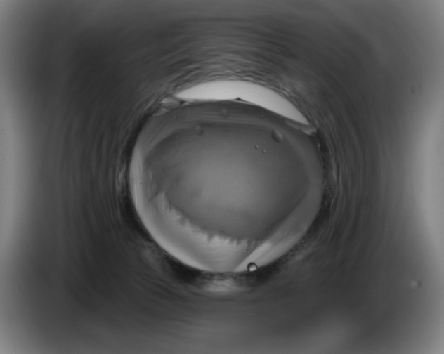 X0000086220177200704191746