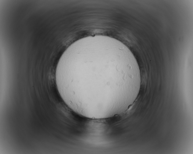 X0000086220179200704191746