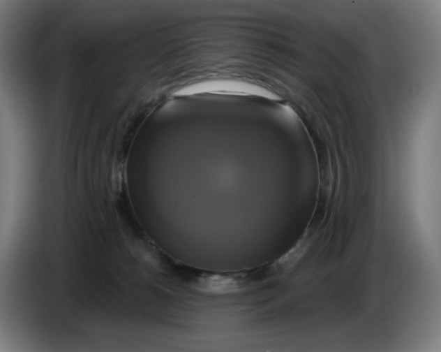 X0000086220180200704191746