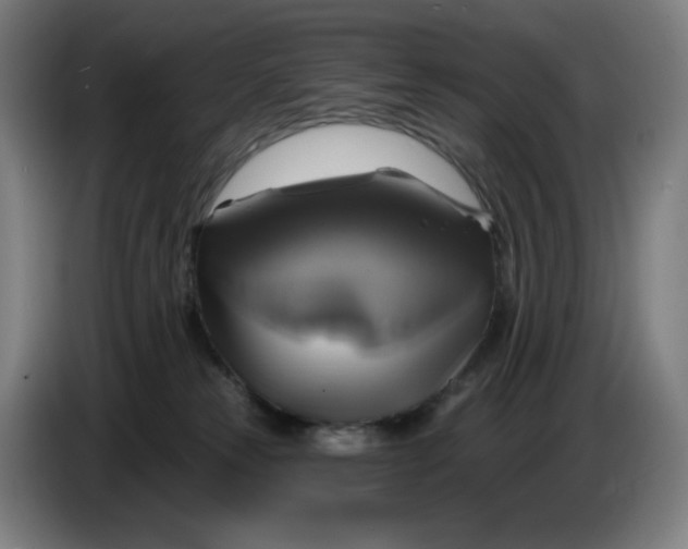 X0000086220181200704191746