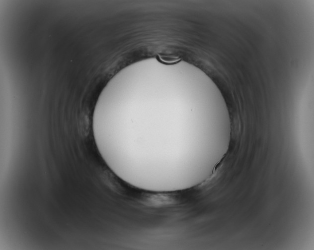 X0000086220183200704191746