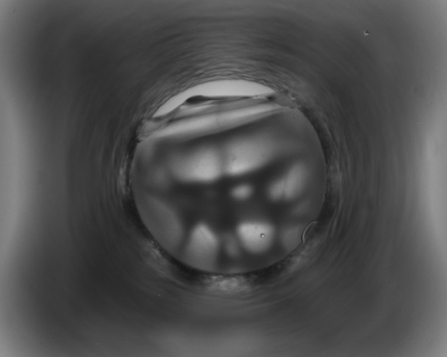 X0000086220185200704191746