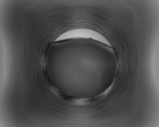 X0000086220186200704191746